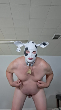 I Need Someone to Milk My Udders