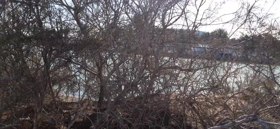 Orinadas_jmv54: Duinen van Maspalomas