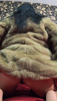 Do You Want to Play with This Fur-coat?