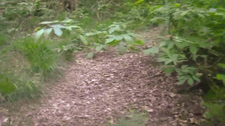 BELLOeBIOTTO: Bonita y larga corrida, sin camisa, en un bosque público