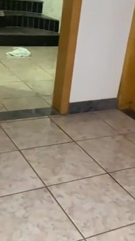 Tânără albă toată excitată