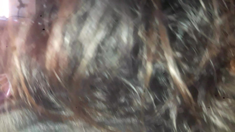 Redina: Horney Üvey Anne Bölüm 2
