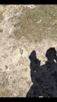Went for a Walk