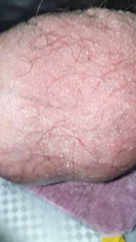 My Balls in POV