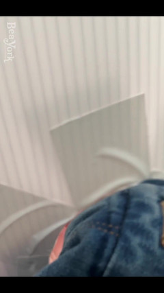 Bea York: 我的朋友好心地拍了一些bts