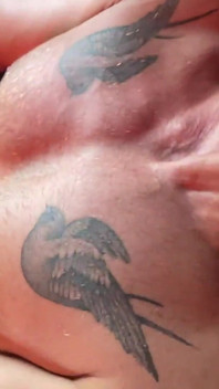 Cumpilation 6