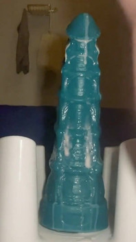 Riding Sea Dildo Xxl - 15 lutego 2024