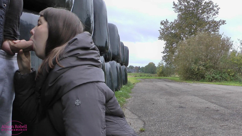 Alison Robell: Aus der alten box