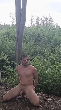 Kayın Ağaçları Arasında: Çıplak Ağaçta Kaba Bir Sergi