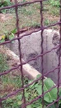 La sexy ragazza bionda Natalli Di Angelo è stata filmata mentre fa sesso di gruppo ed una scopata in culo