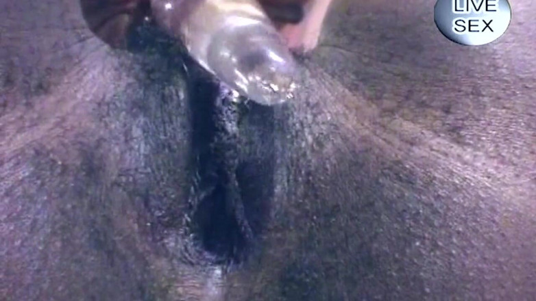 ORGASMX: Mature Ebony Babe Prolapses Dripping Pussy in Wild Solo Play