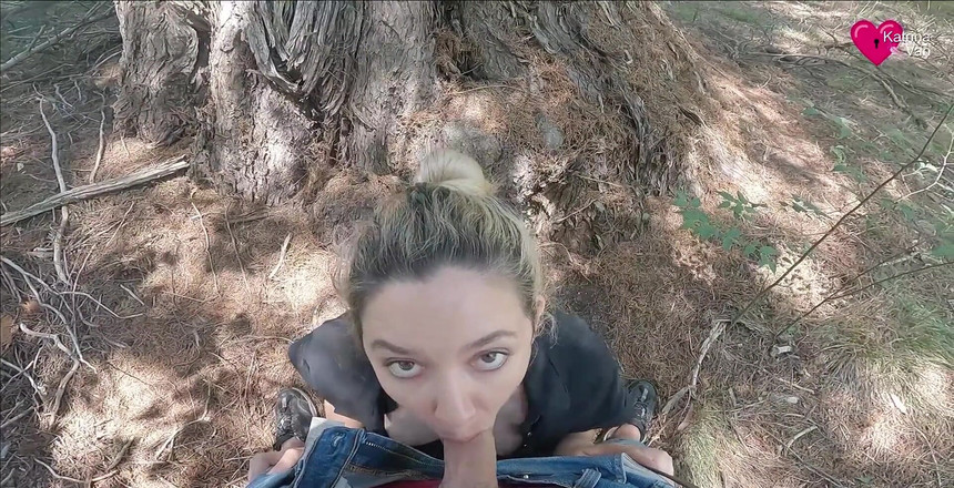 Andy Conel: Saje mě za borovicí