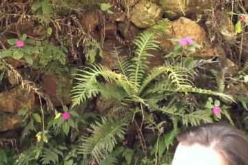 She-Male X: 私と私のガールフレンドは罪の公園で二人きり...