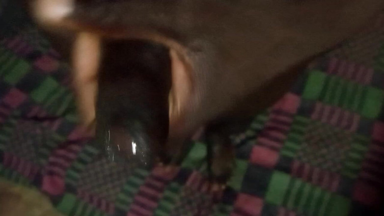 Judith xxx: Krásný okamžik