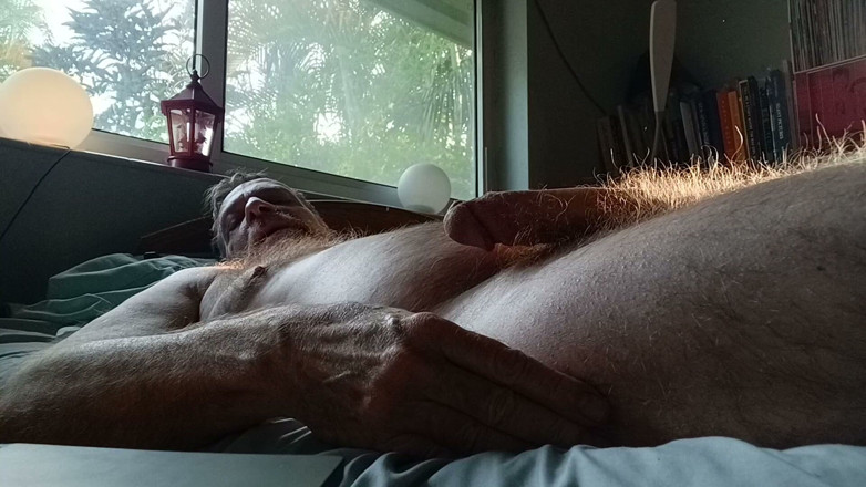 Hairyartist: Pencetus Kelonggaran Will