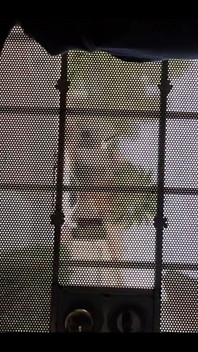 Waiting on My Amazon Delivery