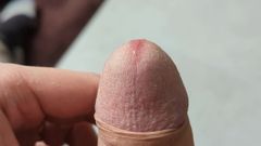 Kinkymah: Instrukce honění s příkazy a dominance od alfa mistra