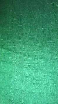 Il travestito gay indiano gaurisissy indossa il Saree verde XXX e si sente sexy.