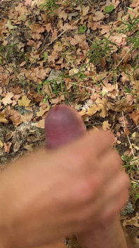 Sborrata nella foresta 4K