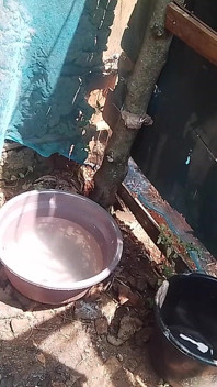 私の黒檀の女の子とアフリカの方法で屋外シャワー体験