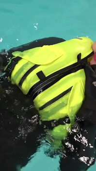 Neoprene Lust: Inflatable Snorkel Vest Pleasure in the Pool