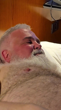 Čtyři medvědi se baví, když si navzájem kouří ptáky