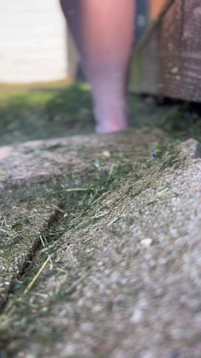 Miss happy mommy: Riesige stiefmutter bewässert ihren kleinen garten-typ