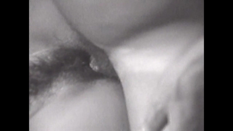 Vintage megastore: Prase mi žere vagínu