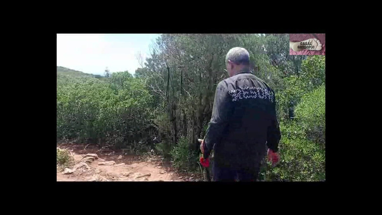 Casal Gresopio BDSM: Dominado En El Bosque 8