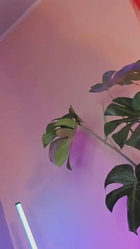 Bella, arkadaşının penisine dayanamıyordu ve onu ağzına kadar soktu