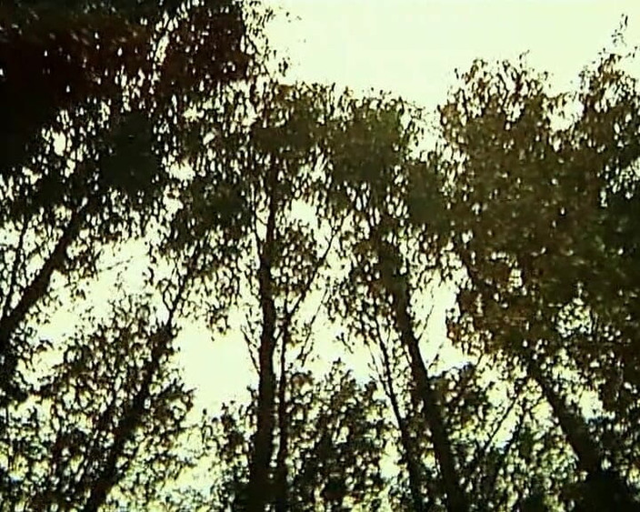 GERMAN PORN CLASSICS: A Teenager's Apprenticeship