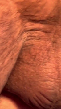 Bear Food Part 2