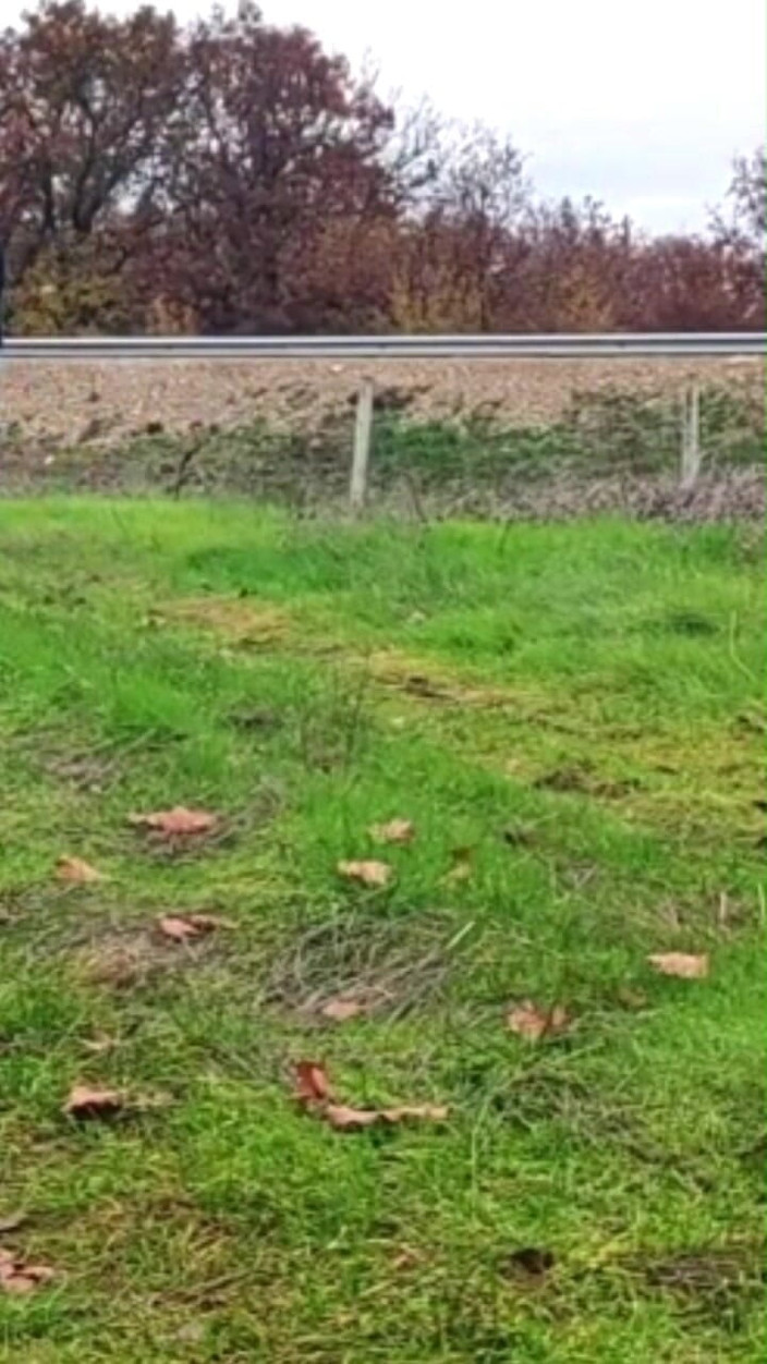 Za Za: Menghukum awek hamba