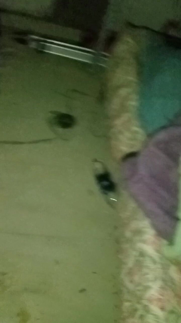 Lifeboy: Vlog noturno em casa e amigo da garota de sexo