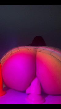 2734511929.mp4