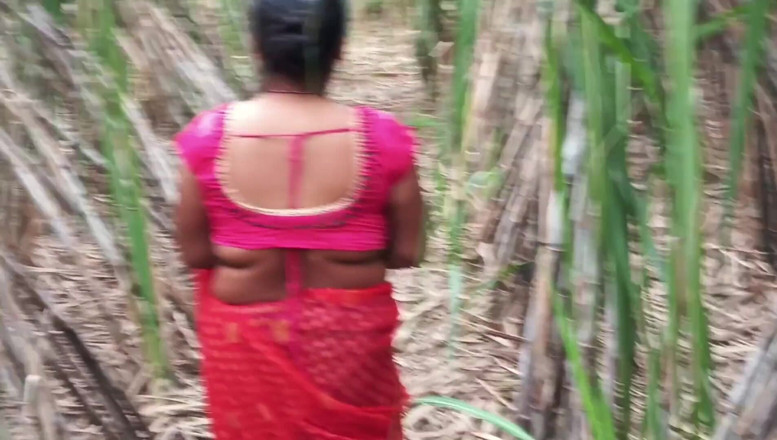 Desistepsis: Ibu tiri dan saya Sugarcane Field – Video Kampung Desi Samastar