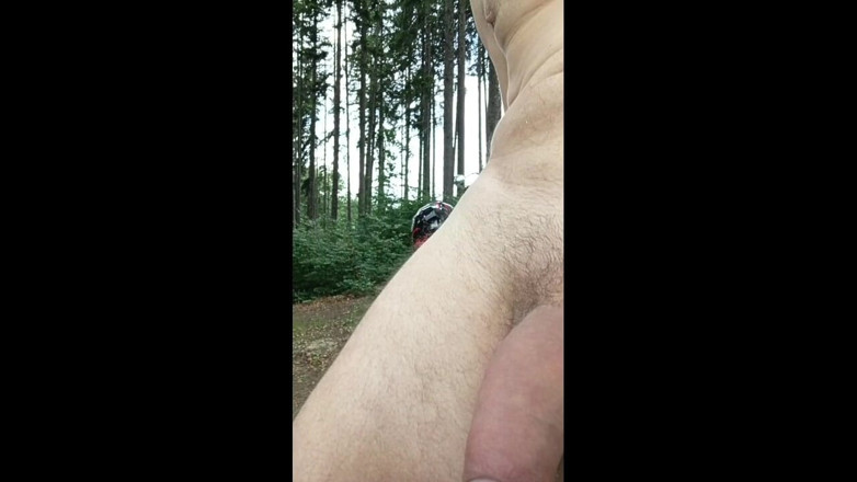 kickerscooter: Tra i Faggi: Una mostra grezze sul legno nudo