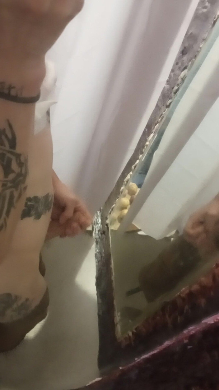 Rainbowdracat: Piscio per te