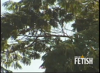 Kings Of Fetish: Young pussy fucked outdoor by a big black cock