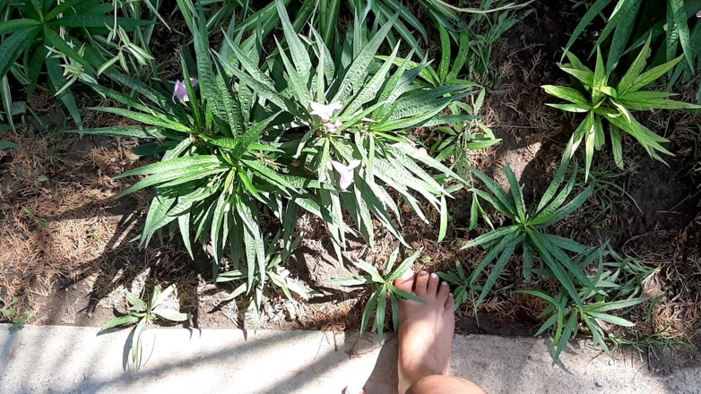 Fetish intimmedia: Milf con sexy piedi forti all'aperto