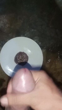 Cum on Food
