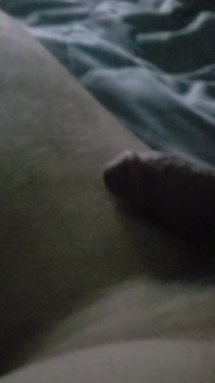 Shadysdick