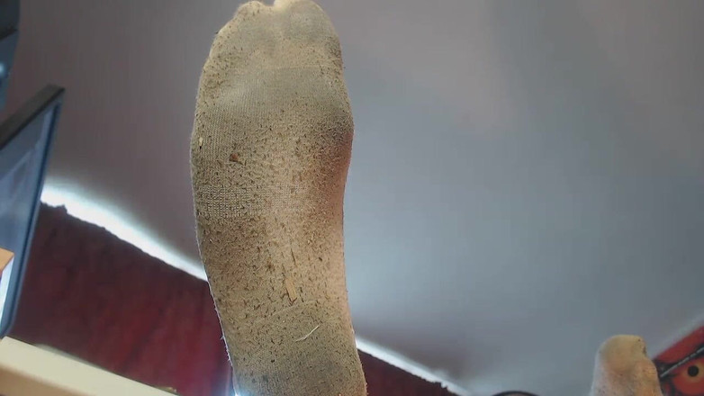 Lilly Disgrace: Dirty Sock Dangle