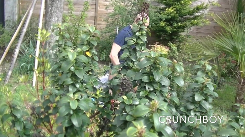 Ass slut fucked bareback: 2221 pelacur kembar disetubuhi pamer di luar ruangan oleh pria...