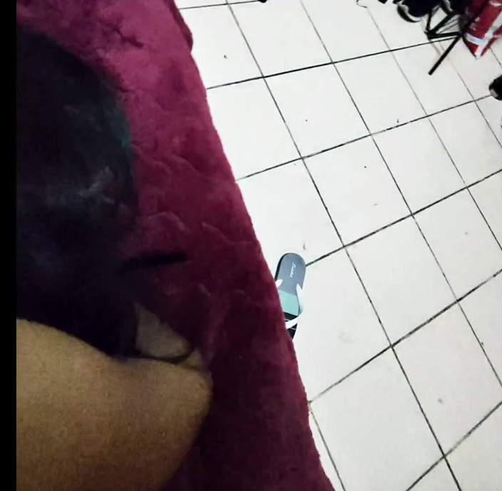 Moo DBOXXX: Raja saya lebih cepat dan keras! Dengan Jiran Matang Saya,...