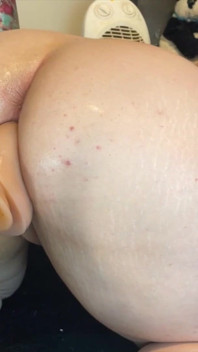 Wat ik het leukst vind om te doen, is grote pikken berijden
