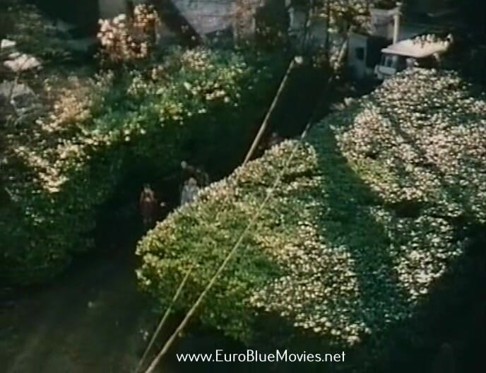 Euro Blue Movies: French Infernal - Full Movie