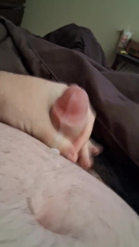 Solo Vid