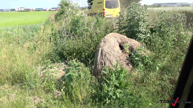 Take Van: Freundin betrogen ihren typen für ein abschleppen, fick-abenteuer