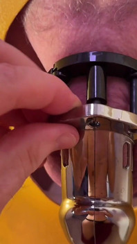 Schwanz Im Peniskäfig Ich Darf Am Gloryhole Öffnen